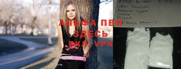 амф Арсеньев