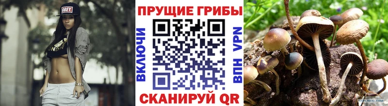 Псилоцибиновые грибы Magic Shrooms  хочу   Онега 